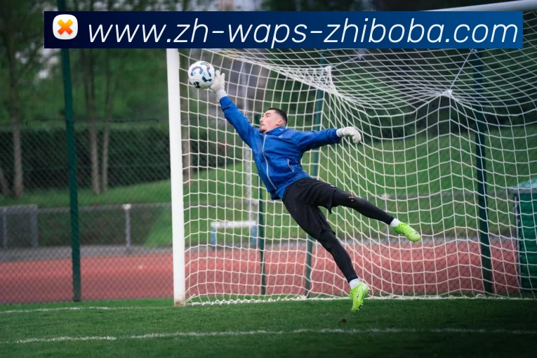 直播吧品牌故事